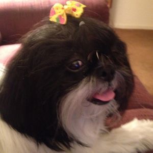 Meet your Posher, Lori